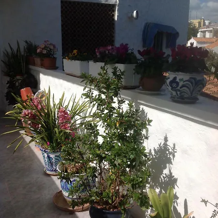 Adelfas Mar